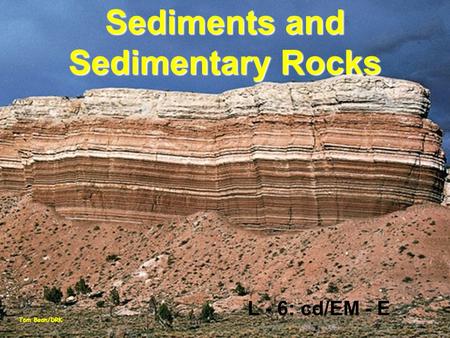 Sediments and Sedimentary Rocks Tom Bean/DRK L - 6: cd/EM - E.