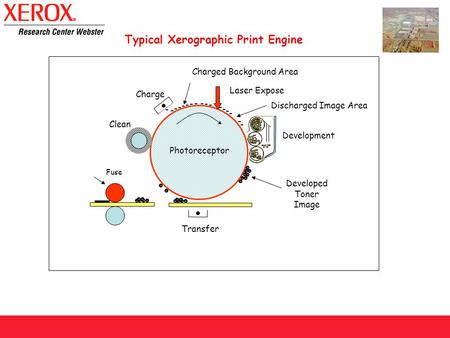 Charge Laser Expose Transfer Clean Development - - - - - - - - - - - - - - - - - Developed Toner Image Charged Background Area Discharged Image Area Photoreceptor.