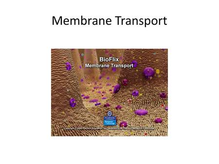 Membrane Transport.