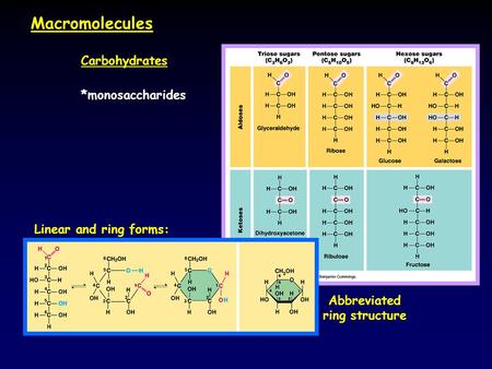 Carbohydrates *monosaccharides Linear and ring forms: Abbreviated ring structure Macromolecules.