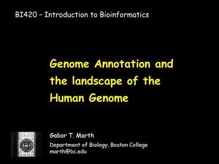 Genome Annotation and the landscape of the Human Genome Gabor T. Marth Department of Biology, Boston College BI420 – Introduction to Bioinformatics.