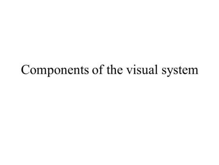 Components of the visual system. The individual neuron.