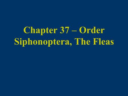 Chapter 37 – Order Siphonoptera, The Fleas