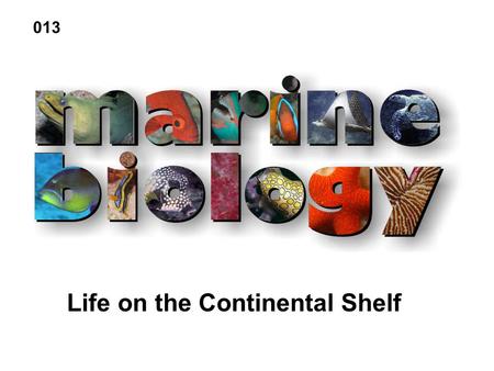 Life on the Continental Shelf