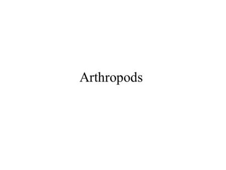 Arthropods. The phylum Arthropoda makes up over 75% of the world’s species. Arthropods include insects, centipedes, millipedes, spiders, ticks, scorpions,
