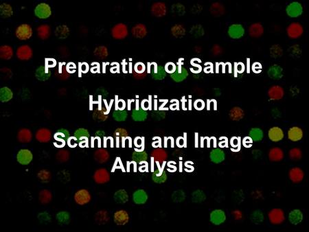 Sample preparation 1. Design experiment Question? Replicates? Test? 2. Perform experiment 4. Label RNA Amplification? Direct or indirect? Label? wild.