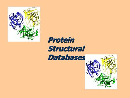 ProteinStructuralDatabases. Proteins are built from amino-acids. Introduction H | NH2-c-CO2H | R.