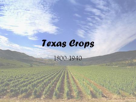Texas Crops 1800-1940.