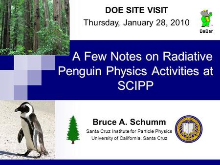 DOE SITE VISIT Thursday, January 28, 2010 Bruce A. Schumm Santa Cruz Institute for Particle Physics University of California, Santa Cruz BaBar.