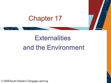 Chapter 17 Externalities and the Environment © 2009 South-Western/ Cengage Learning.
