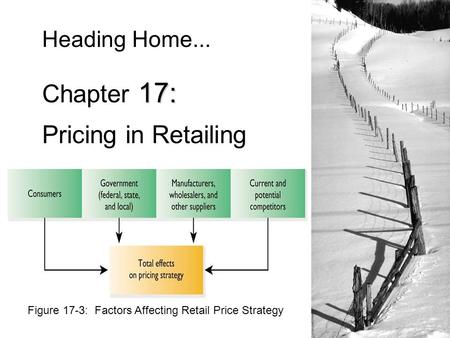 Figure 17-3: Factors Affecting Retail Price Strategy