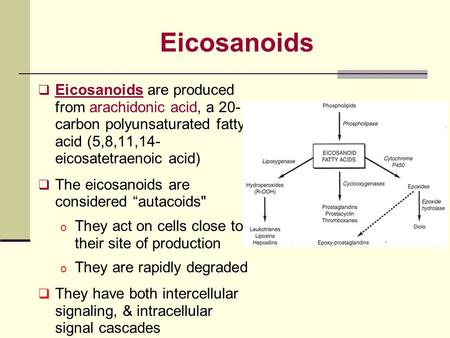 Eicosanoids  Eicosanoids are produced from arachidonic acid, a 20- carbon polyunsaturated fatty acid (5,8,11,14- eicosatetraenoic acid)  The eicosanoids.