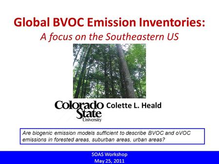 Global BVOC Emission Inventories: