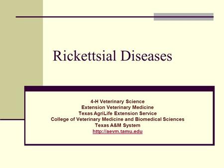 Rickettsial Diseases 4-H Veterinary Science Extension Veterinary Medicine Texas AgriLife Extension Service College of Veterinary Medicine and Biomedical.