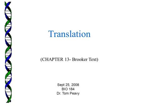 (CHAPTER 13- Brooker Text) Translation Sept 25, 2008 BIO 184 Dr. Tom Peavy.