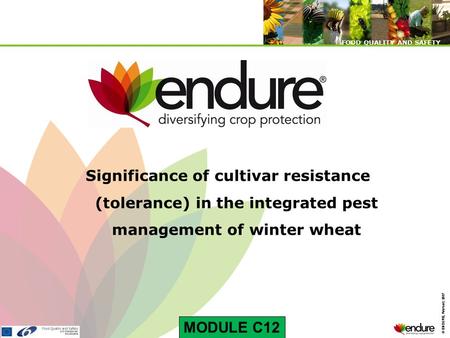 © ENDURE, February 2007 FOOD QUALITY AND SAFETY © ENDURE, February 2007 FOOD QUALITY AND SAFETY Significance of cultivar resistance (tolerance) in the.