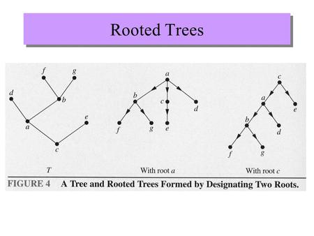 Rooted Trees. More definitions parent of d child of c sibling of d ancestor of d descendants of g leaf internal vertex subtree root.