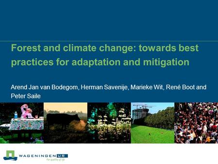 Forest and climate change: towards best practices for adaptation and mitigation Arend Jan van Bodegom, Herman Savenije, Marieke Wit, René Boot and Peter.