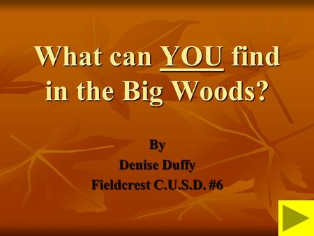 What can YOU find in the Big Woods? By Denise Duffy Fieldcrest C.U.S.D. #6.