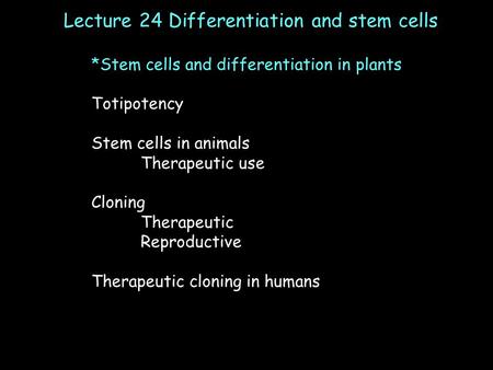 Lecture 24 Differentiation and stem cells *Stem cells and differentiation in plants Totipotency Stem cells in animals Therapeutic use Cloning Therapeutic.