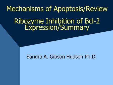 Mechanisms of Apoptosis/Review Ribozyme Inhibition of Bcl-2 Expression/Summary Sandra A. Gibson Hudson Ph.D.