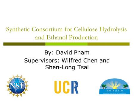Synthetic Consortium for Cellulose Hydrolysis and Ethanol Production By: David Pham Supervisors: Wilfred Chen and Shen-Long Tsai.