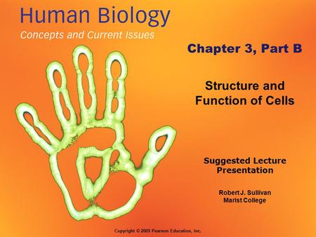 Robert J. Sullivan Marist College Suggested Lecture Presentation Copyright © 2009 Pearson Education, Inc. Chapter 3, Part B Structure and Function of Cells.