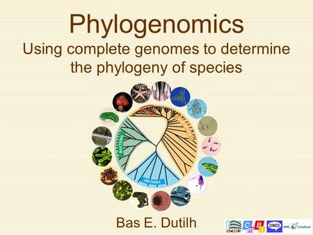 Bas E. Dutilh Phylogenomics Using complete genomes to determine the phylogeny of species.
