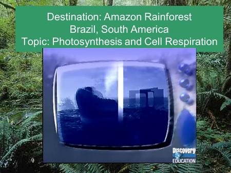 Destination: Amazon Rainforest Brazil, South America Topic: Photosynthesis and Cell Respiration.