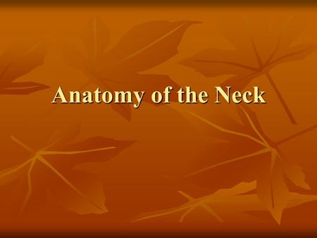 Anatomy of the Neck.