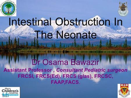 Intestinal Obstruction In The Neonate
