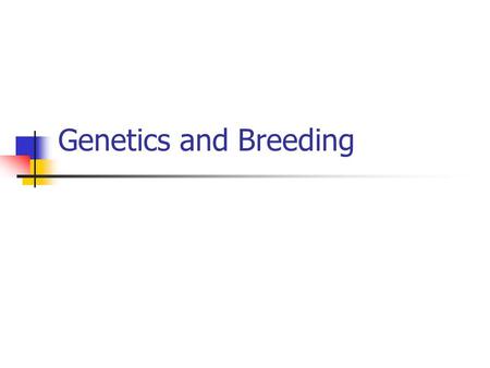 Genetics and Breeding. Interest Approach Ask students why they don’t look like each other (if they had the same parents)