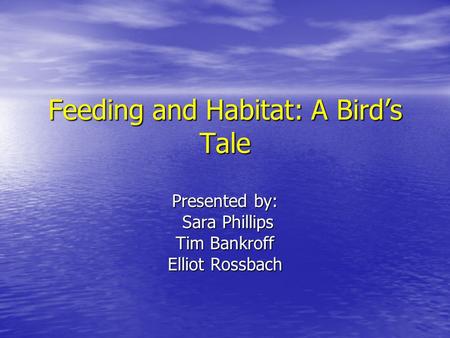Feeding and Habitat: A Bird’s Tale Presented by: Sara Phillips Sara Phillips Tim Bankroff Elliot Rossbach.