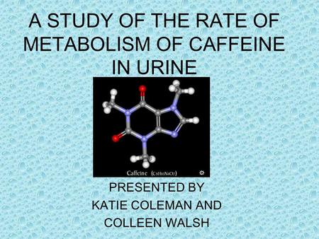 A STUDY OF THE RATE OF METABOLISM OF CAFFEINE IN URINE PRESENTED BY KATIE COLEMAN AND COLLEEN WALSH.