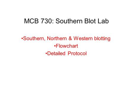 MCB 730: Southern Blot Lab Southern, Northern & Western blotting Flowchart Detailed Protocol.