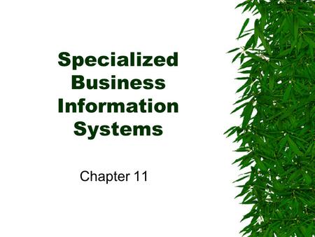 Specialized Business Information Systems Chapter 11.