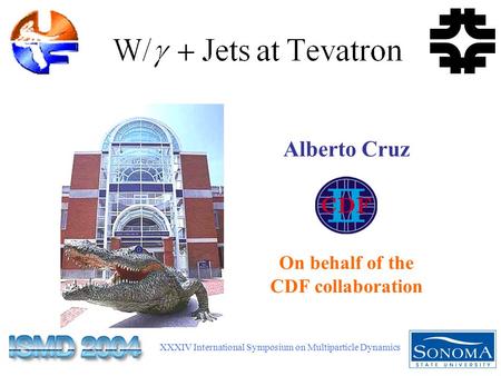 XXXIV International Symposium on Multiparticle Dynamics Alberto Cruz On behalf of the CDF collaboration.