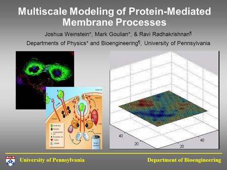 Multiscale Modeling of Protein-Mediated Membrane Processes