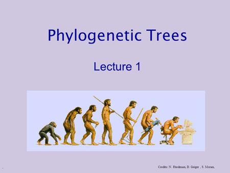 . Phylogenetic Trees Lecture 1 Credits: N. Friedman, D. Geiger, S. Moran,