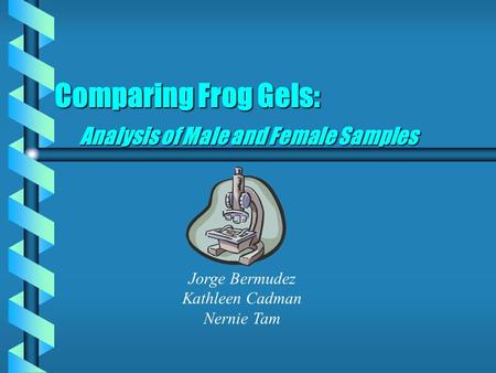 Comparing Frog Gels: Analysis of Male and Female Samples Jorge Bermudez Kathleen Cadman Nernie Tam.