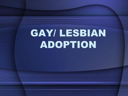 GAY/ LESBIAN ADOPTION. DISCLAIMER!!! The views expressed in this presentation are as factual as possible. (i.e. Please don’t attack group members. They.