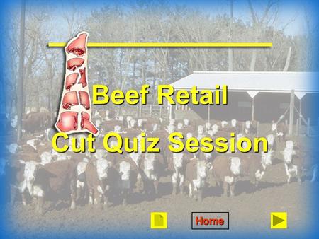 Beef Retail Cut Quiz Session Home. Arm Bone One Muscle.