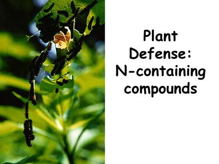 Plant Defense: N-containing compounds