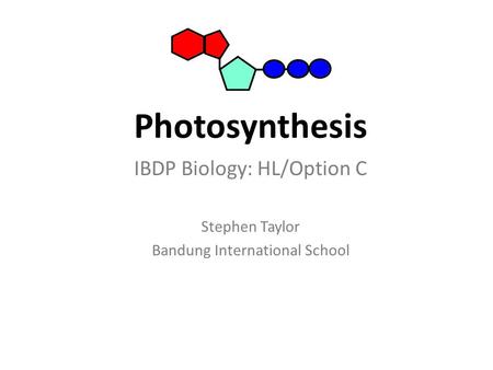 Photosynthesis IBDP Biology: HL/Option C Stephen Taylor