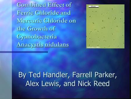 Combined Effect of Ferric Chloride and Mercuric Chloride on the Growth of Cyanobacteria Anacystis nidulans By Ted Handler, Farrell Parker, Alex Lewis,