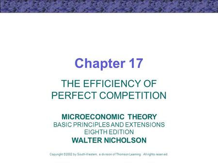 THE EFFICIENCY OF PERFECT COMPETITION