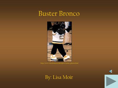 Buster Bronco By: Lisa Moir