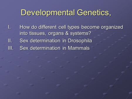 Developmental Genetics, I.How do different cell types become organized into tissues, organs & systems? II.Sex determination in Drosophila III.Sex determination.
