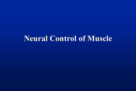 Neural Control of Muscle. Quick Review: Spinal Cord Flexors Extensors.