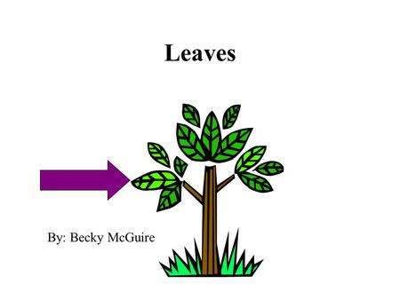 Leaves By: Becky McGuire.